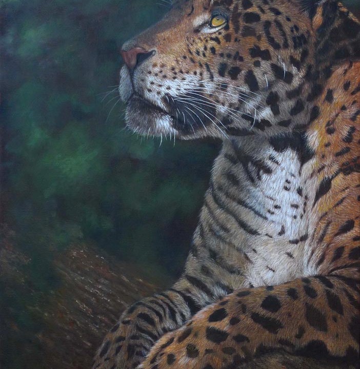 Le regard du jaguar