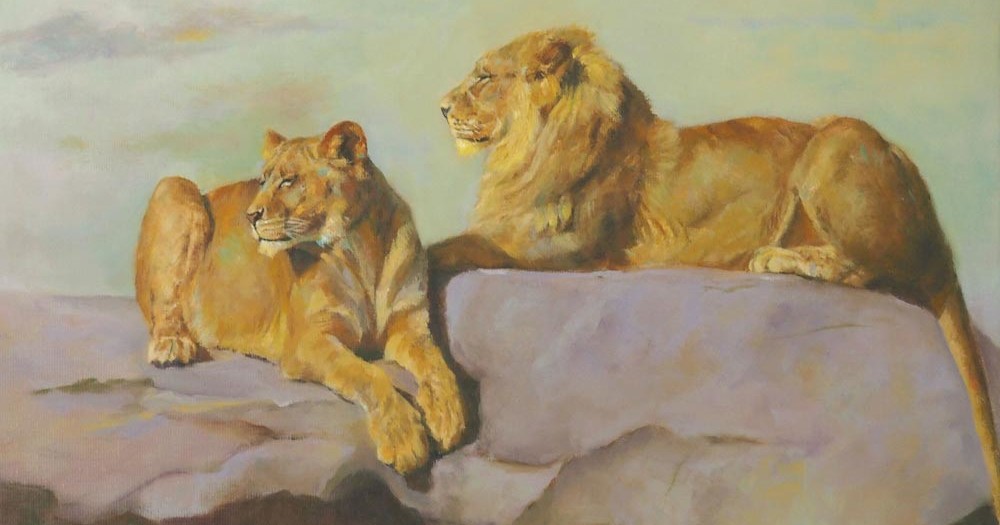 Lion et Lionne couchés