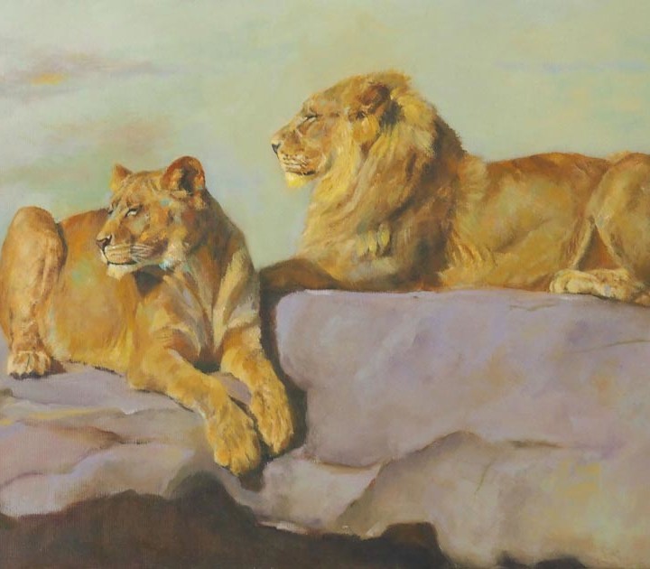 Lion et Lionne couchés