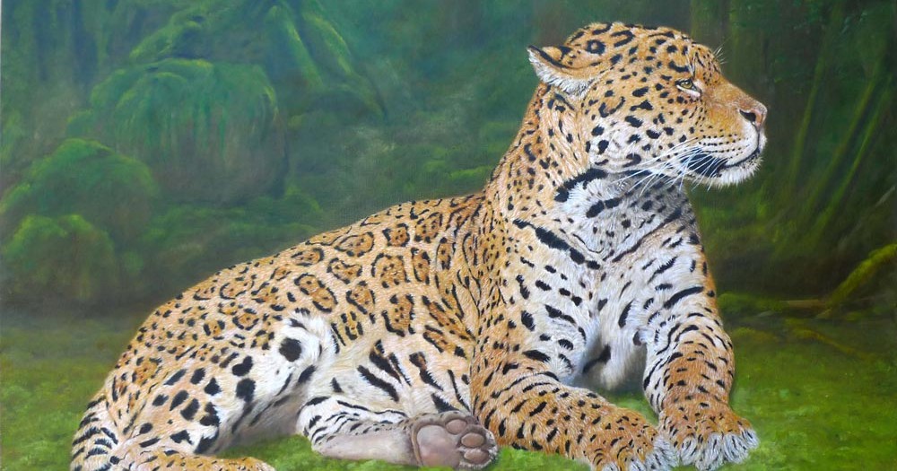 Jaguar couché