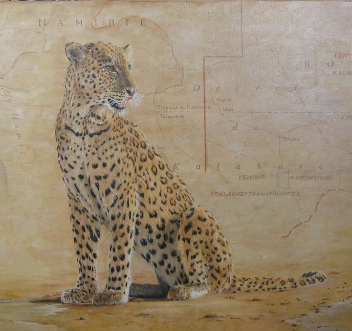 Léopard du Kalahari