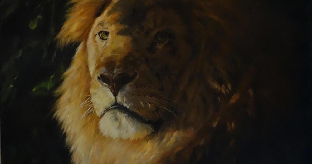 Portrait Lion clair obscur