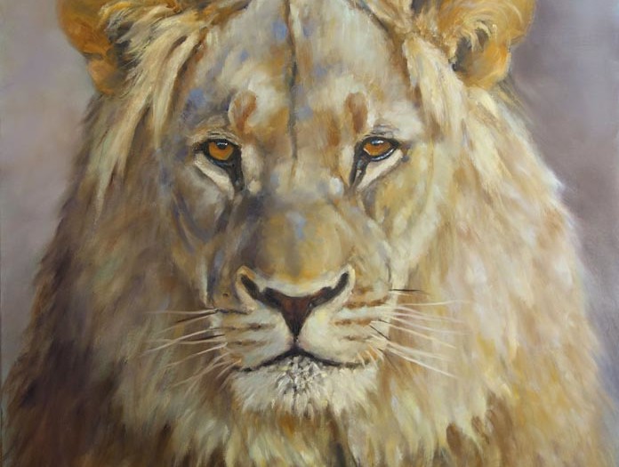 Portrait lion